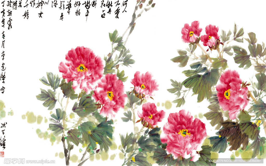 牡丹