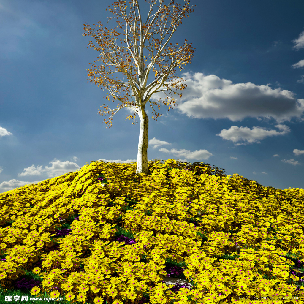 花草树木