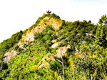 杜桥凤凰山