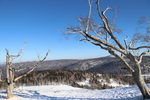 雪景