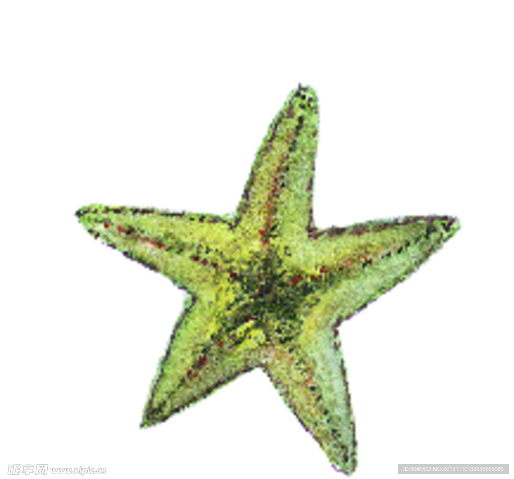手绘绿色水彩海星矢量素材