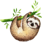 手绘水彩树懒