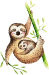 手绘水彩树懒母子