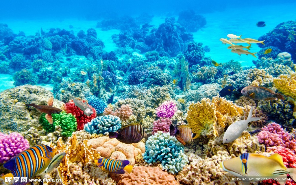 海底色彩