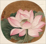 国画 花