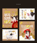2019财富小猪