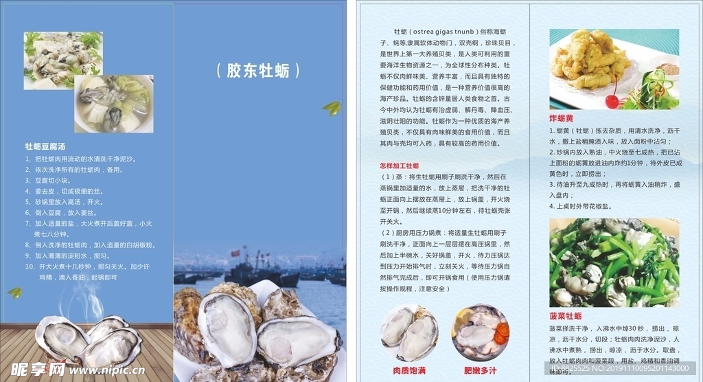 胶东牡蛎折页