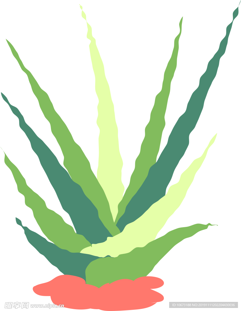 卡通仙人掌