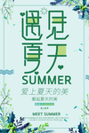 遇见夏天