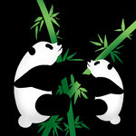 两只攀竹的熊猫