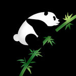 爬上竹子的熊猫