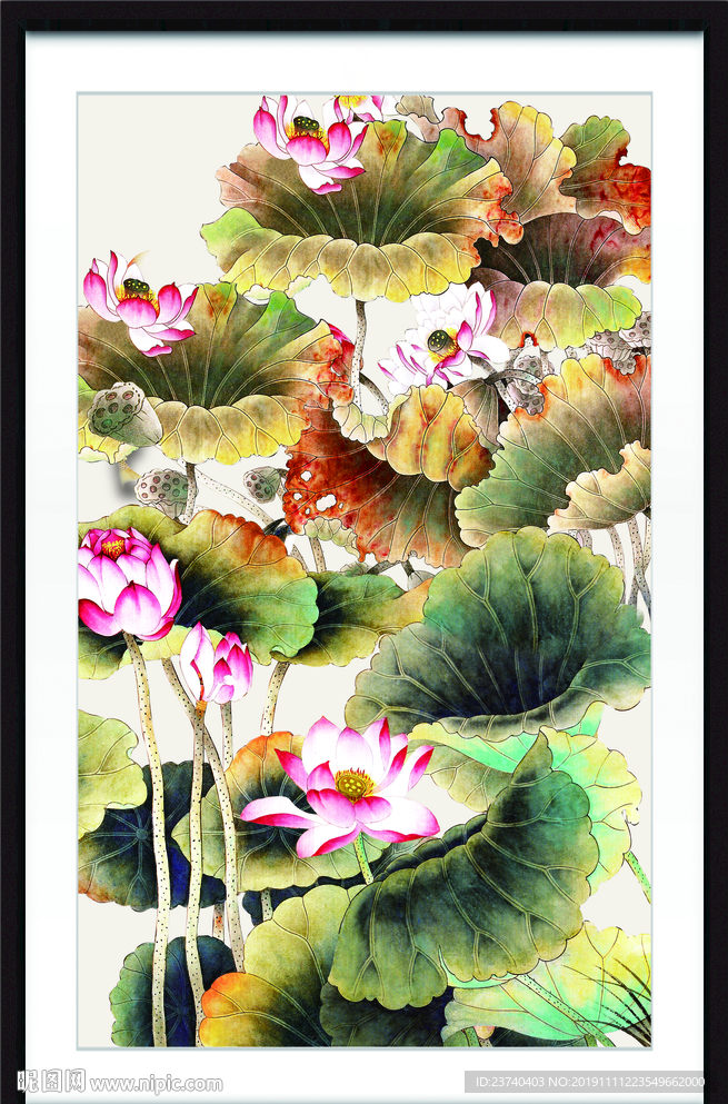 国画荷花
