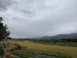 田园风光