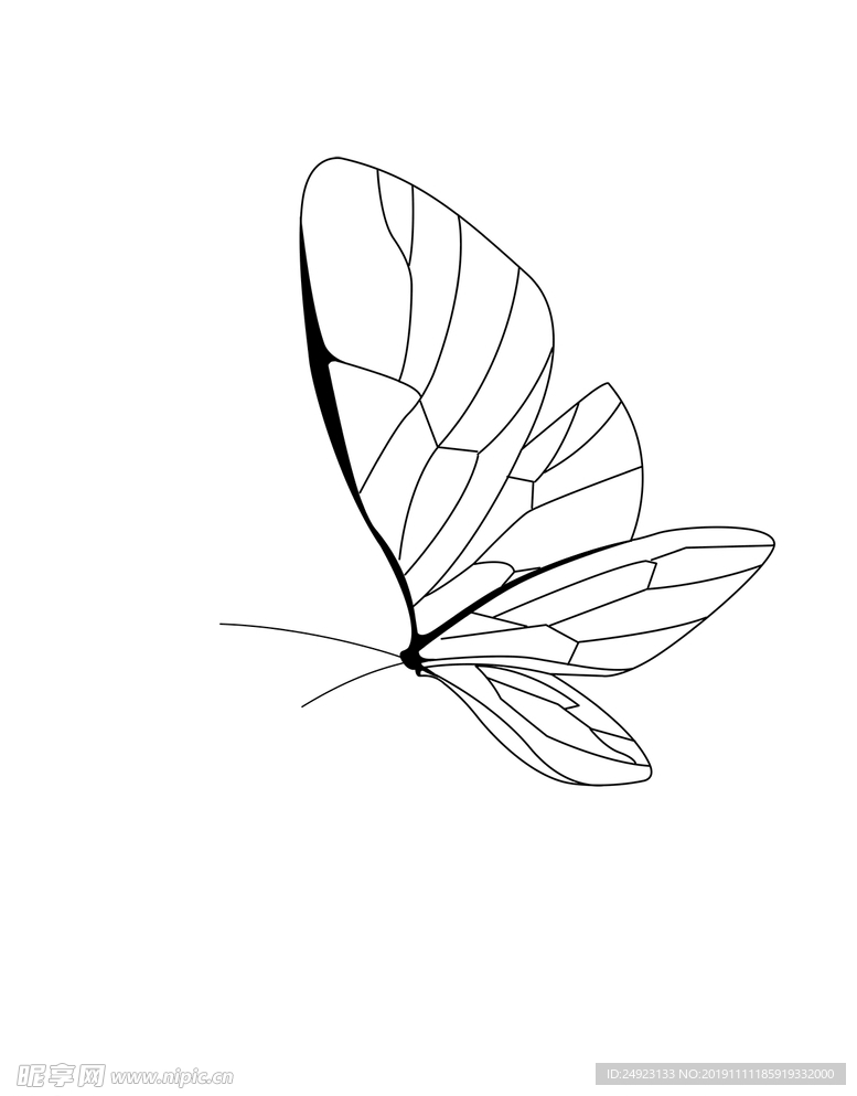 蝴蝶手绘素描