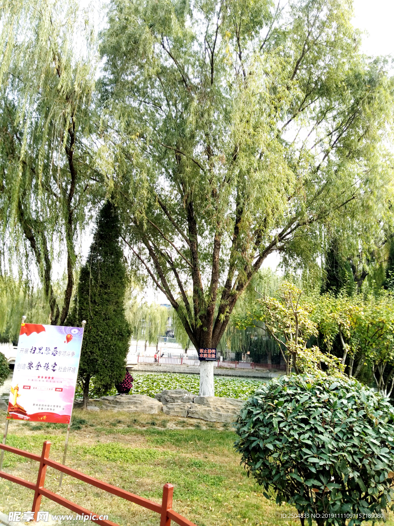 自然风景