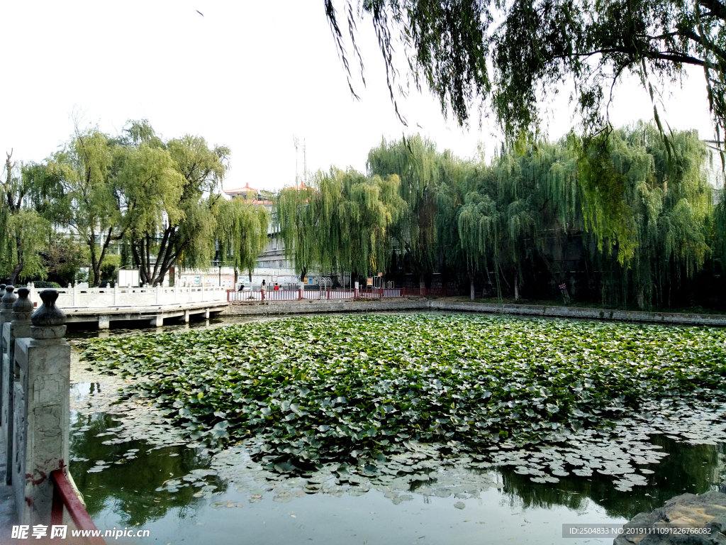 自然风景