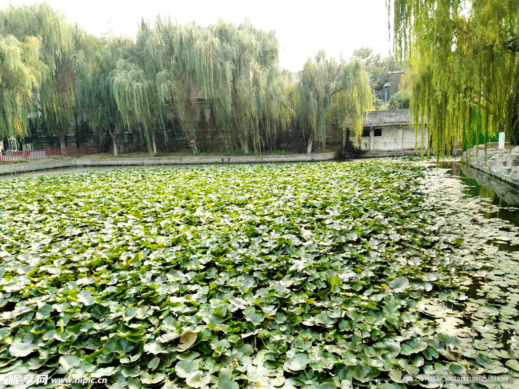 自然风景
