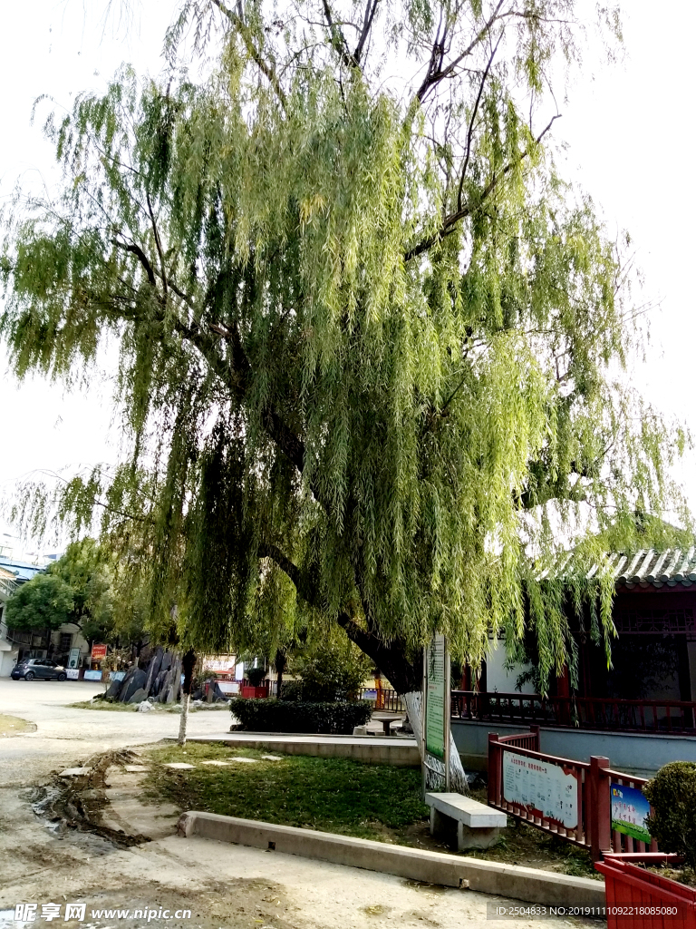 自然风景