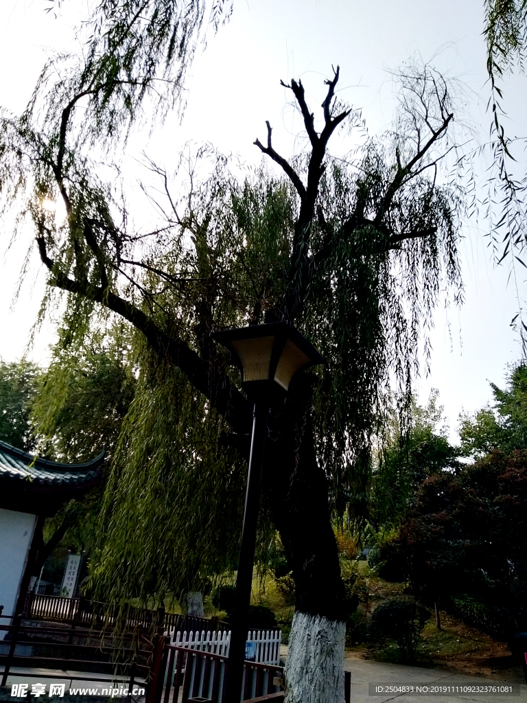 自然风景