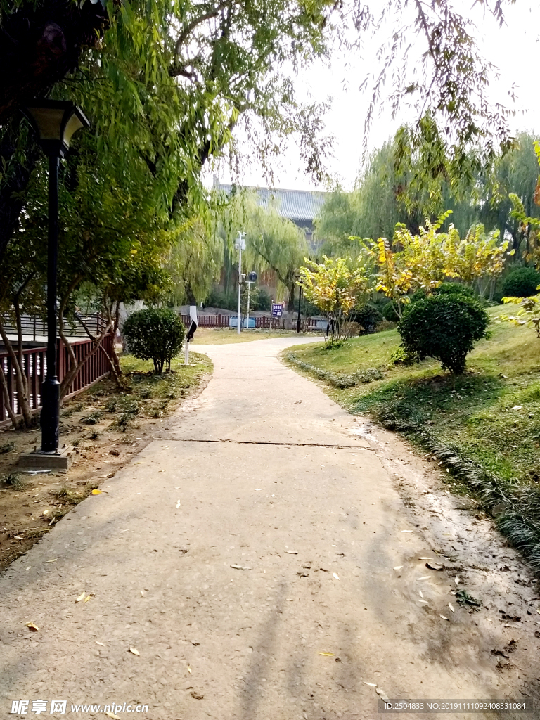 自然风景