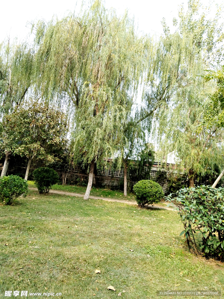 自然风景