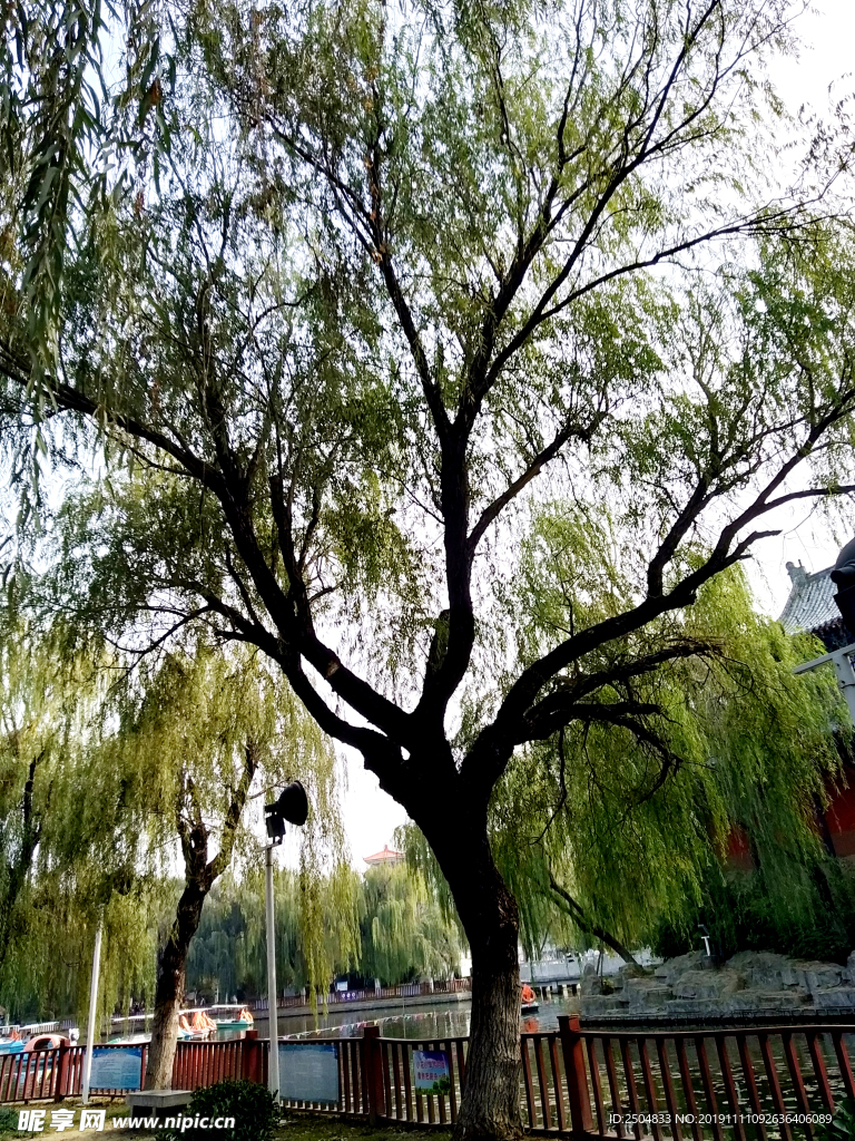 自然风景