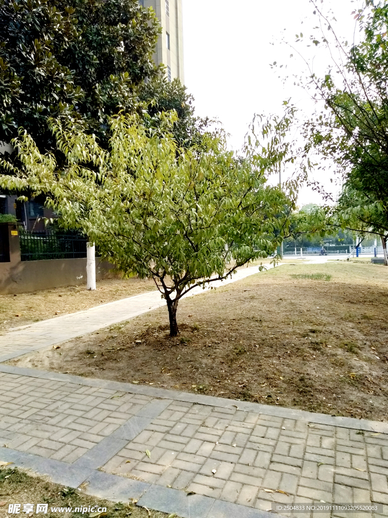 自然风景