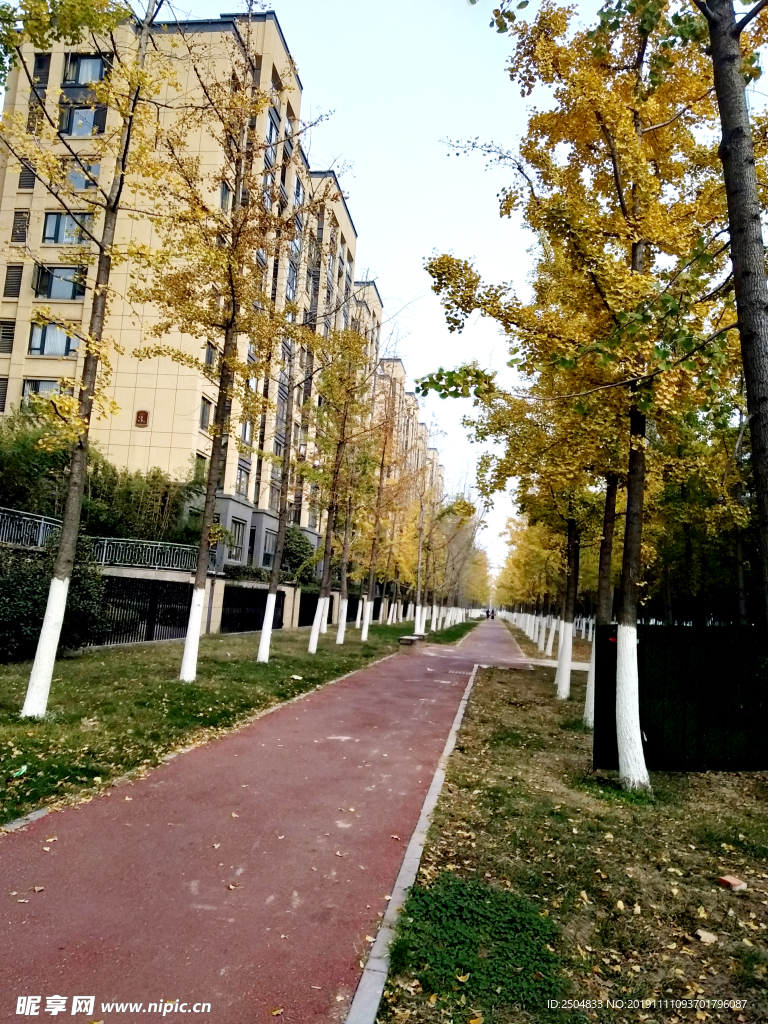 自然风景