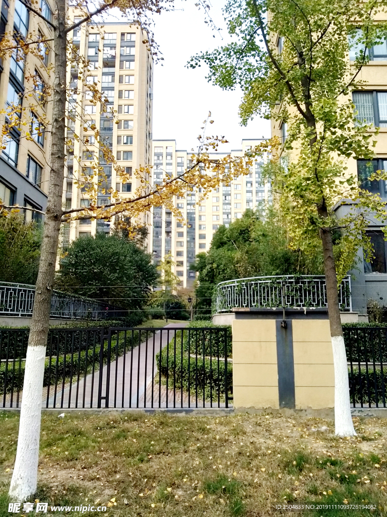 自然风景