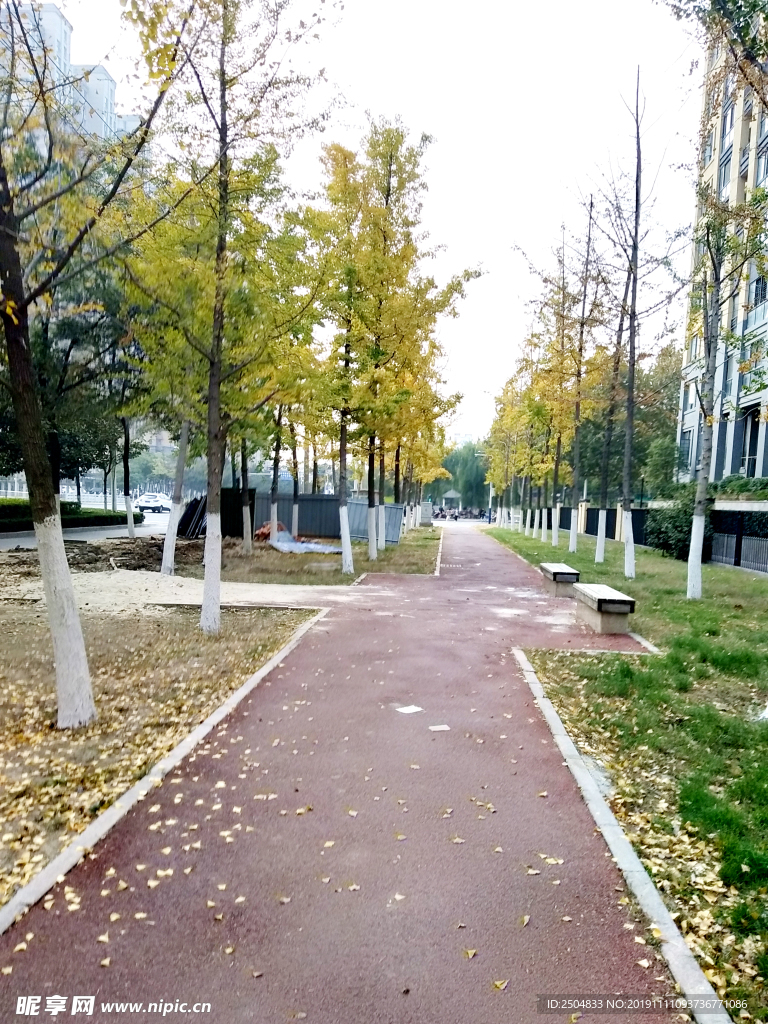 自然风景