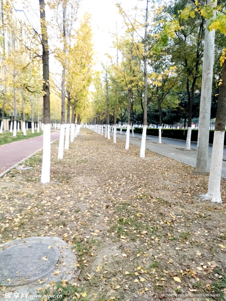 自然风景