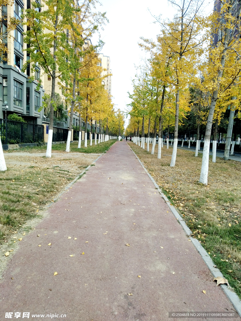 自然风景