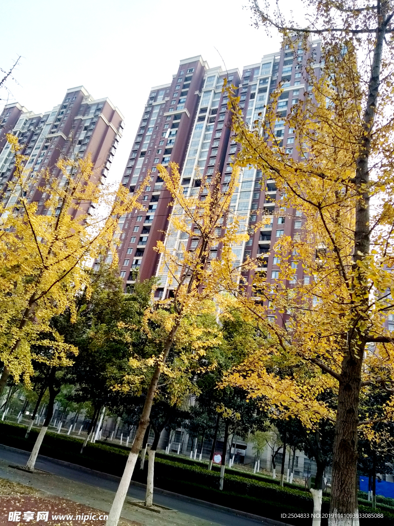 自然风景