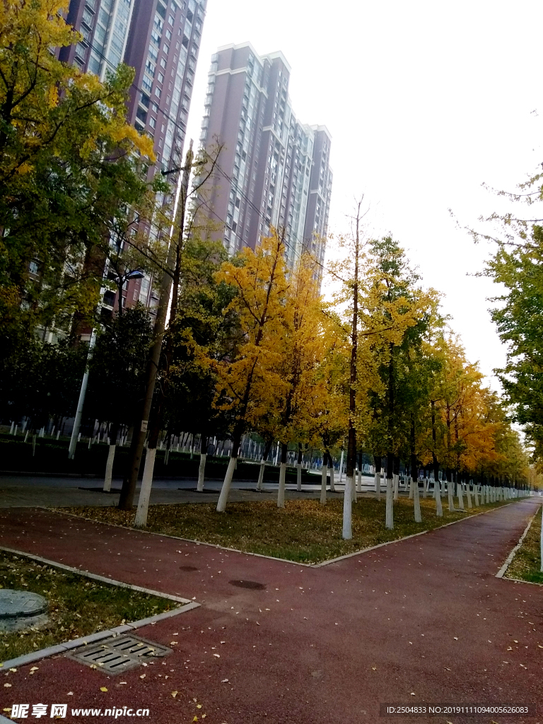 自然风景