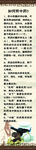 中医挂图