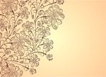 花纹