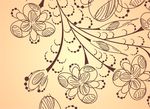 花纹