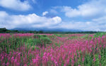 云中山