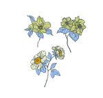 花