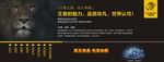 汽车美容广告