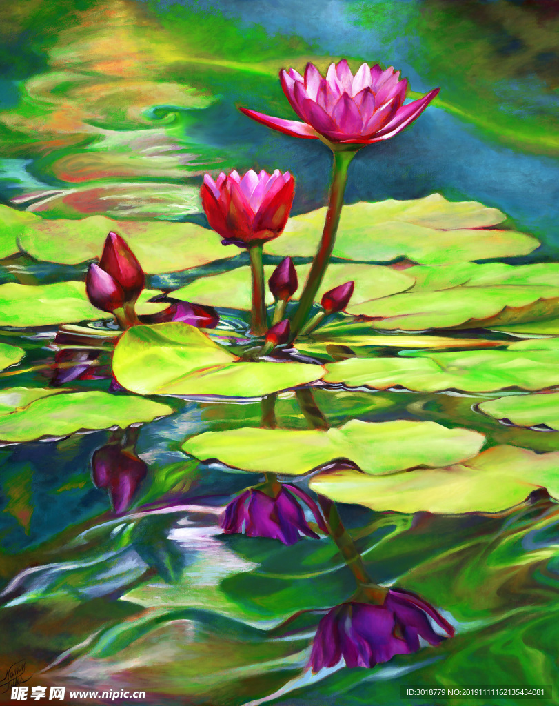 荷花