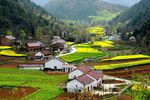 山村新貌