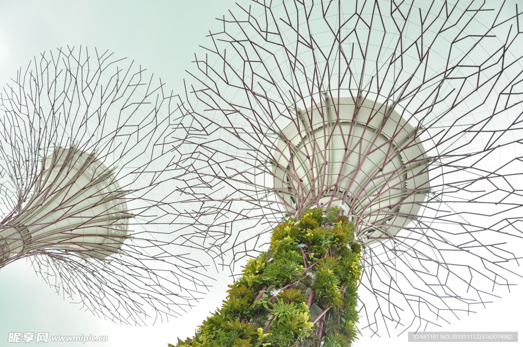 新加坡滨海花园天空树
