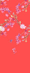 花鸟