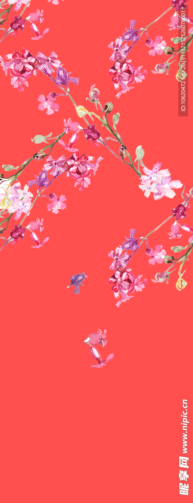 花鸟