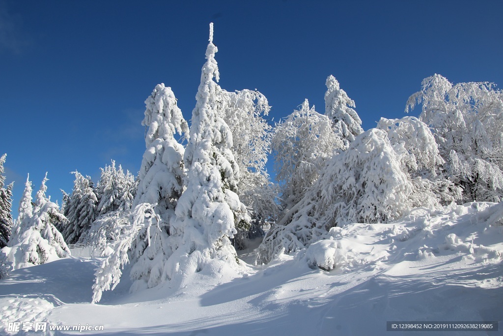 雪中的山林