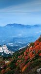 风景