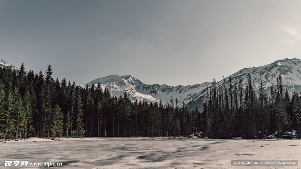 山林与山脉