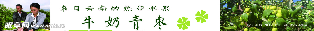 牛奶青枣