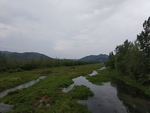山水